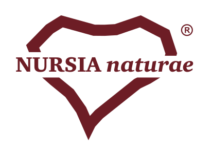 logo nursia