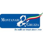 Montanari & Gruzza