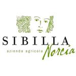 Sibilla di Norcia